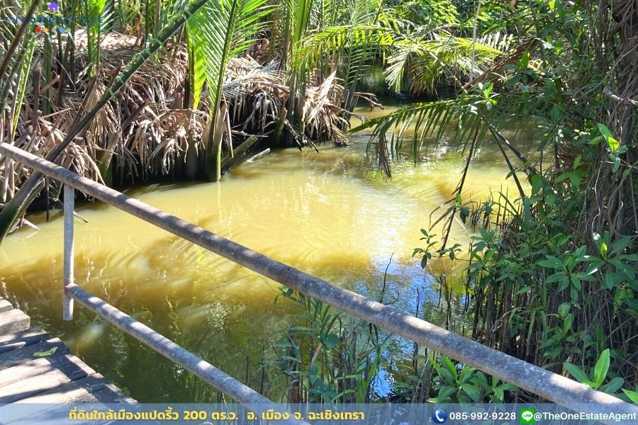 📣 ขายด่วน! ที่ดินเมืองแปดริ้วบรรยากาศสวน 200 ตรว. บรรยากาศดีมาก เหมาะทั้งทำการเกษตร สร้างบ้านอาศัย ต.บางตีนเป็ด อ.เมือง จ.ฉะเชิงเทรา The Best ! | โทร. 085-992-9228