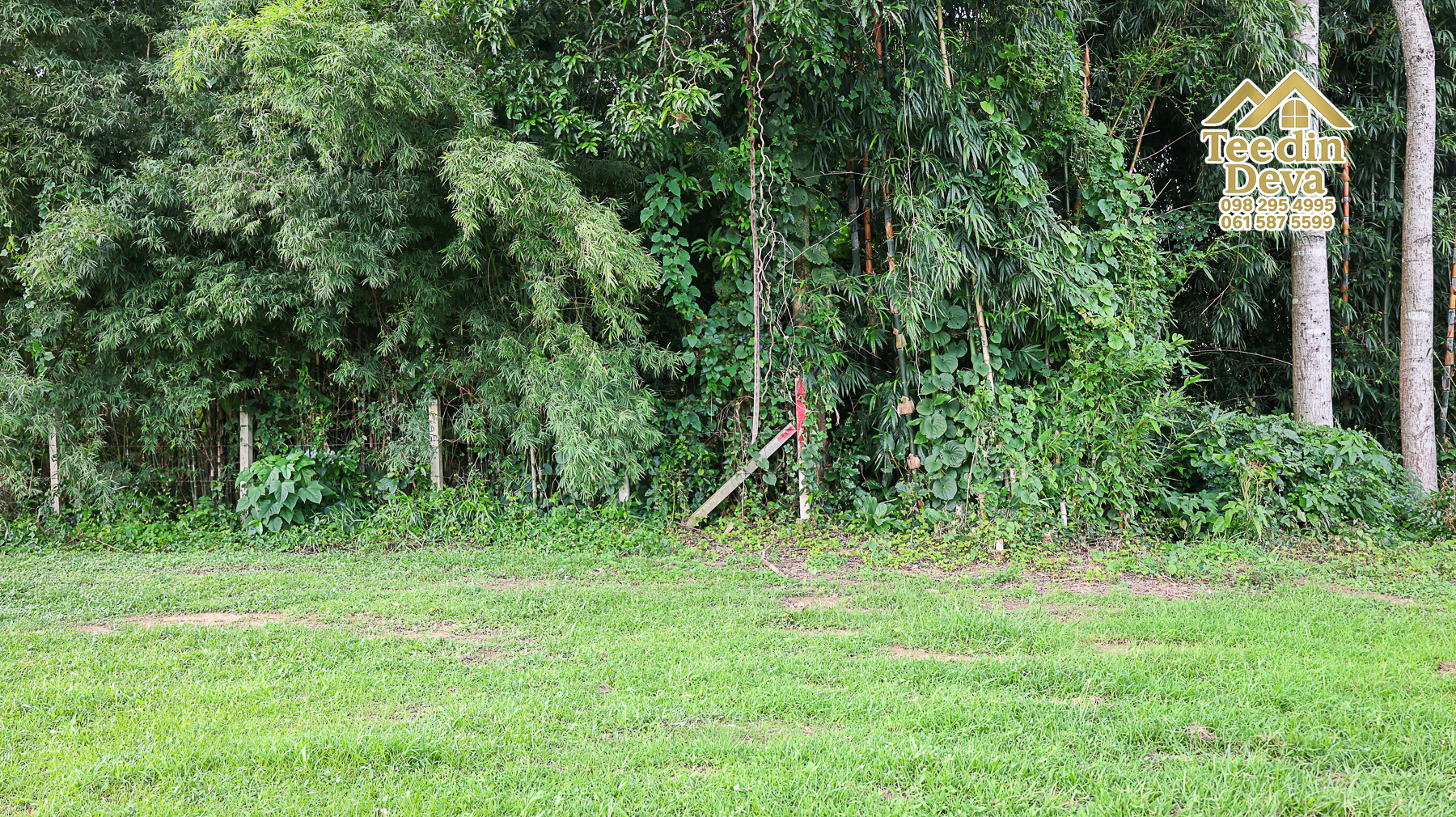 ที่ดินนครนายก ติดแม่น้ำ เนื้อที่ 4 ไร่ 2 งาน 64 ตรว. ต.สาริกา อ.เมือง จ.นครนายก