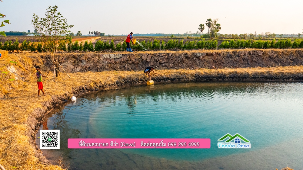 🌿 ที่ดินสวยๆ ขนาด 2 ไร่ พร้อมน้ำไฟ ดินดี น้ำดี อากาศดี มีเพื่อนบ้าน ณ ต.ปากพลี อ.ปากพลี จ.นครนายก