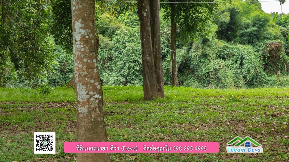 ที่ดินนครนายก ติดแม่น้ำ 14 ไร่ พื้นที่ติดแม่น้ำ 400 เมตร ชมลำธารสวยๆ บรรยากาศสบายๆ ต.สาริกา อ.เมือง จ.นครนายก