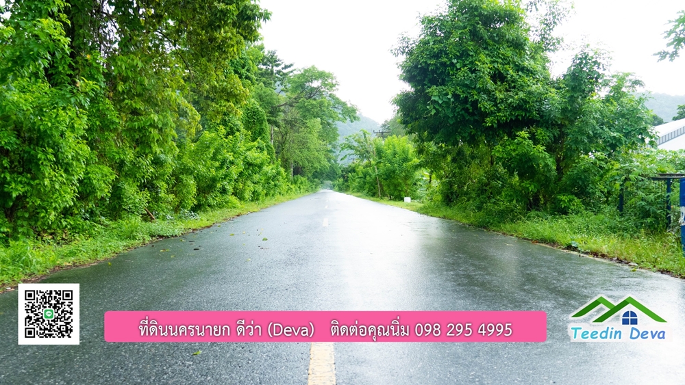 ที่ดินนครนายก สวนผลไม้ขนาดเล็ก 155 ตร.ว. ด้านหลังติดลำธาร