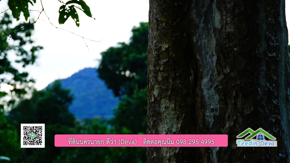 (ðī āļāļīāļāļāļēāļĢāļāļēāļĒ) āļāļĩāđāļāļīāļāļāļāļĢāļāļēāļĒāļ āļāļīāļāļĨāļģāļāļēāļĢ āļāļĨāļđāļāļāļĨāđāļĄāđ 8 āđāļĢāđ 2 āļāļēāļ āļ.āļŠāļēāļĢāļīāļāļē āļ.āđāļĄāļ·āļāļ āļ.āļāļāļĢāļāļēāļĒāļ