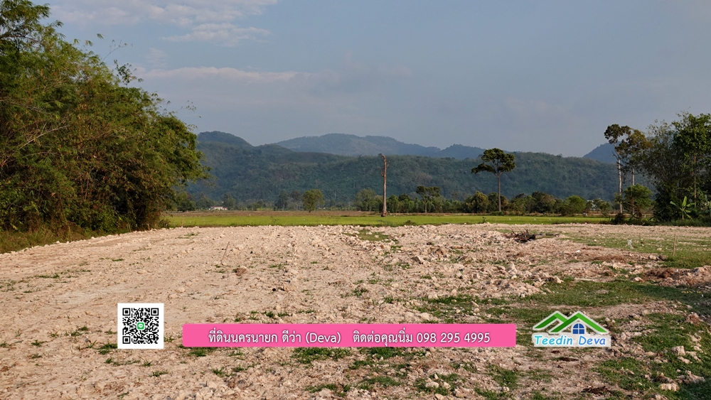 ที่ดินนครนายก วิวทุ่งนาต้นยางสวยๆ ขนาด 4 ไร่ ราคาไร่ละ 1.5 ล้าน ต.เขาเพิ่ม อ.บ้านนา จ.นครนายก