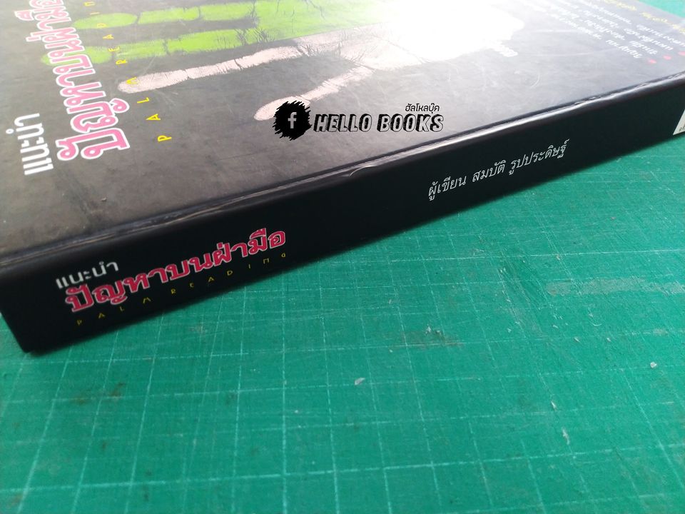 แนะนำปัญหาบนฝ่ามือ Palm reading