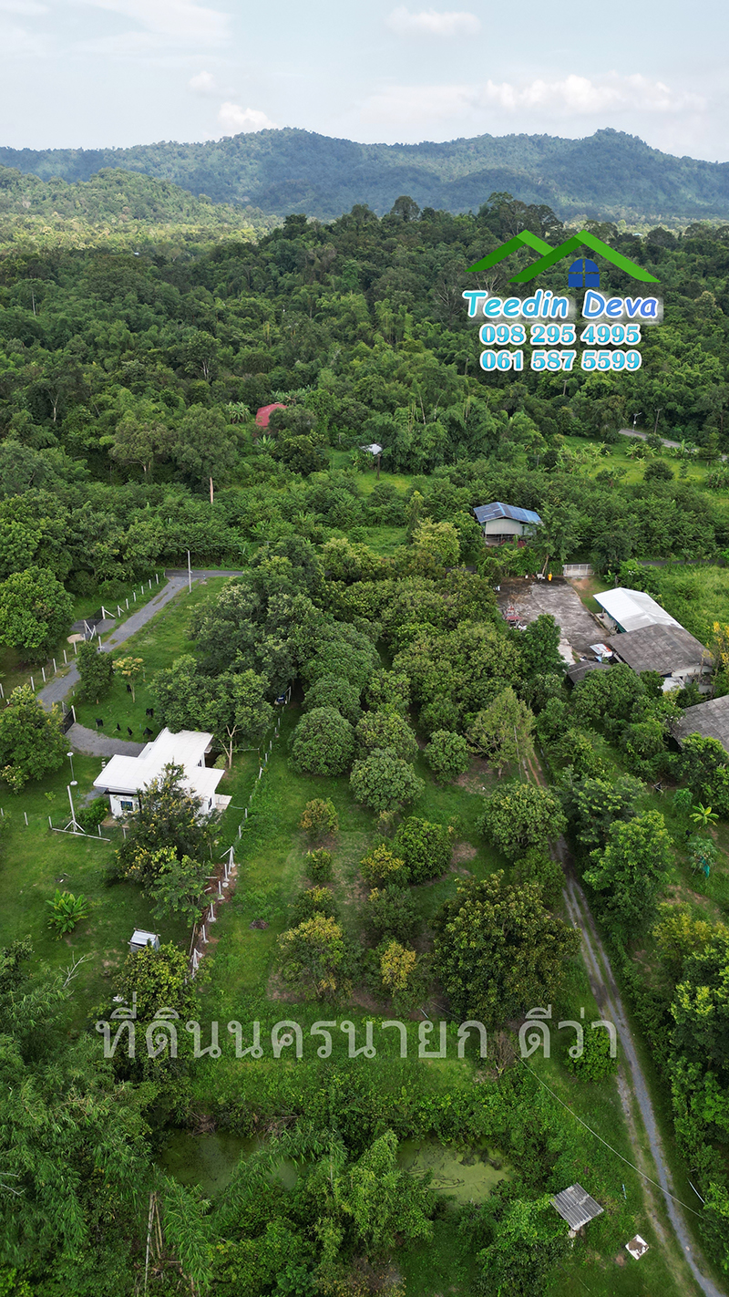 🌳🍊 ที่ดินนครนายก สวนผลไม้ เนื้อที่ 2 ไร่ ในทำเลติดกับภูเขา วิวสวยงาม ผลไม้เก็บผลผลิตได้แล้ว