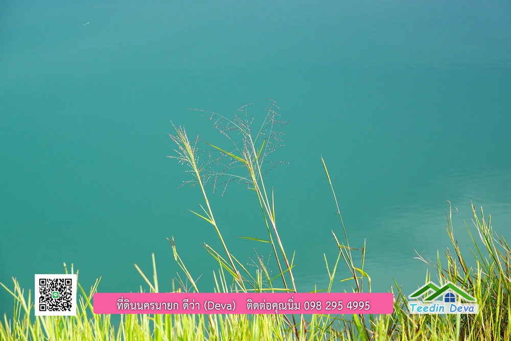 ที่ดินนครนายก โครงการ mountain 6