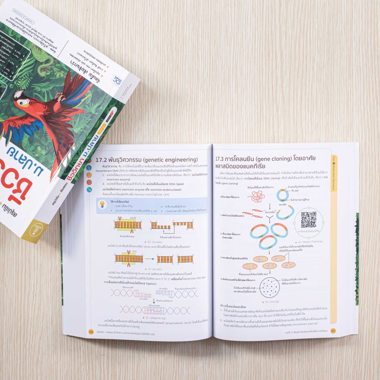 Infopress (อินโฟเพรส) สรุปเข้ม + ข้อสอบ ชีววิทยา ม.ปลาย ฉบับสมบูรณ์ มั่นใจเต็ม 100 - 71502