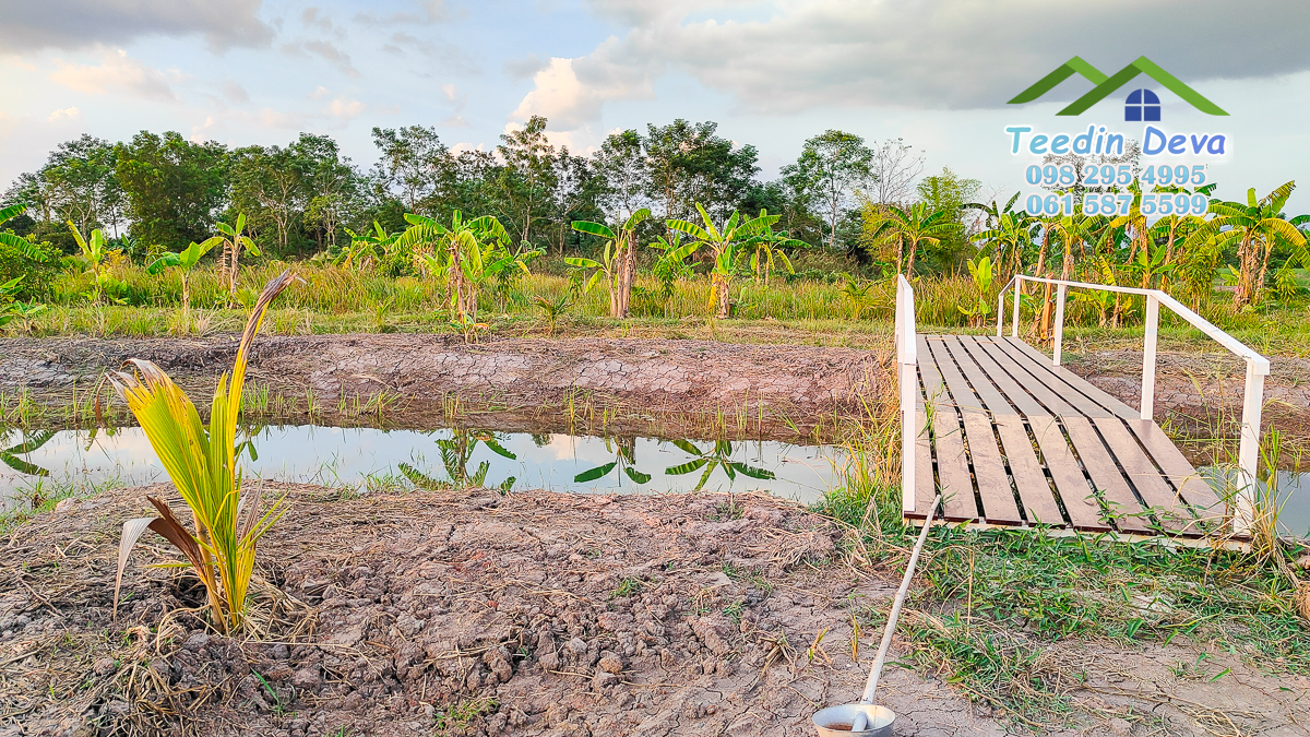 ที่ดินนครนายก แปลงสวย เหมาะทำบ้านสวนเกษตร 2 ไร่ 1 งาน 19 ตร.ว. ต.พรหมณี อ.เมือง จ.นครนายก