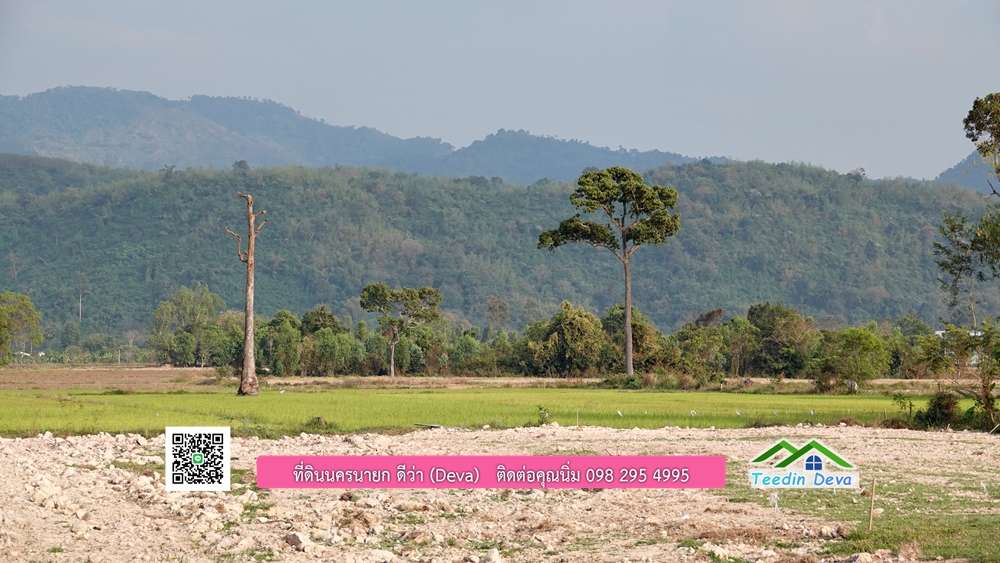 ที่ดินนครนายก วิวทุ่งนาต้นยางสวยๆ ขนาด 4 ไร่ ราคาไร่ละ 1.5 ล้าน ต.เขาเพิ่ม อ.บ้านนา จ.นครนายก