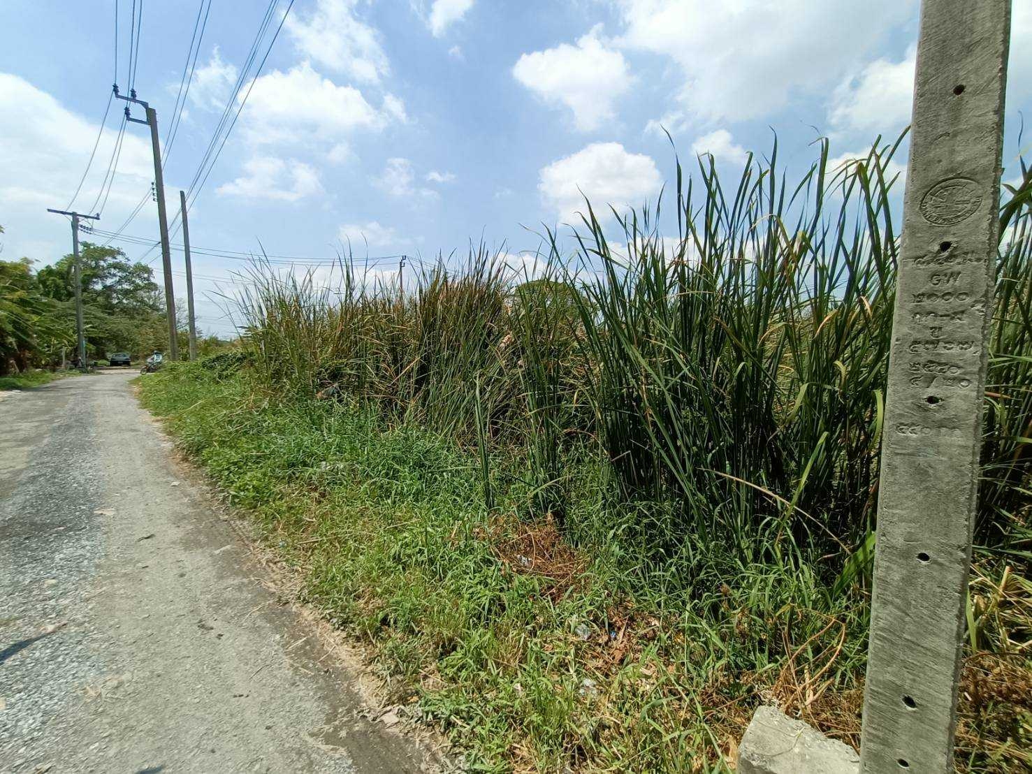 ขายที่ดินเปล่าทำเลยอดนิยมย่านพัฒนาการ ซอย อ่อนนุช 70/1 (N.642)