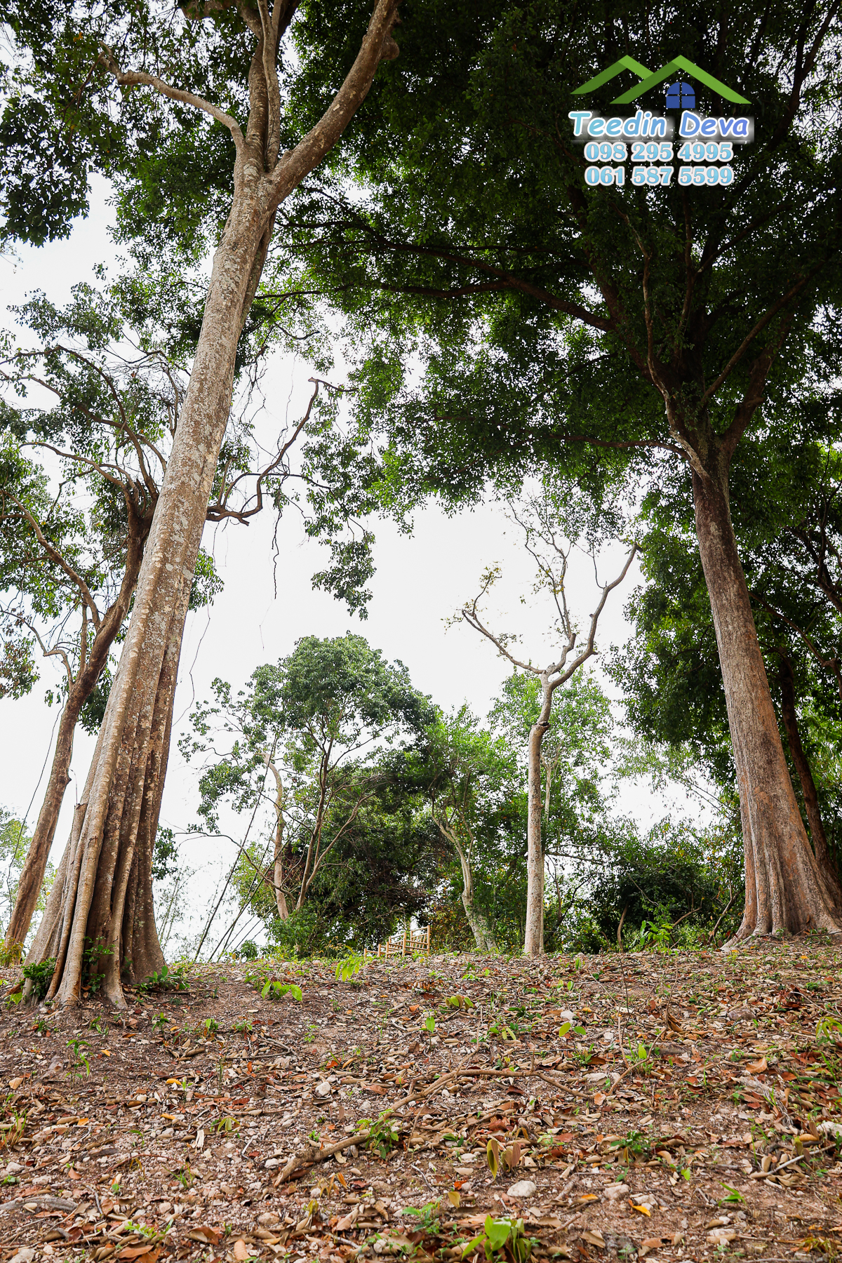 🌿 “มุมสงบแห่งภูกะเหรี่ยง” ที่ดินวิวเขา ริมคลองน้ำใส 297 ตรว. ต.หินตั้ง อ.เมือง จ.นครนายก สำเนา