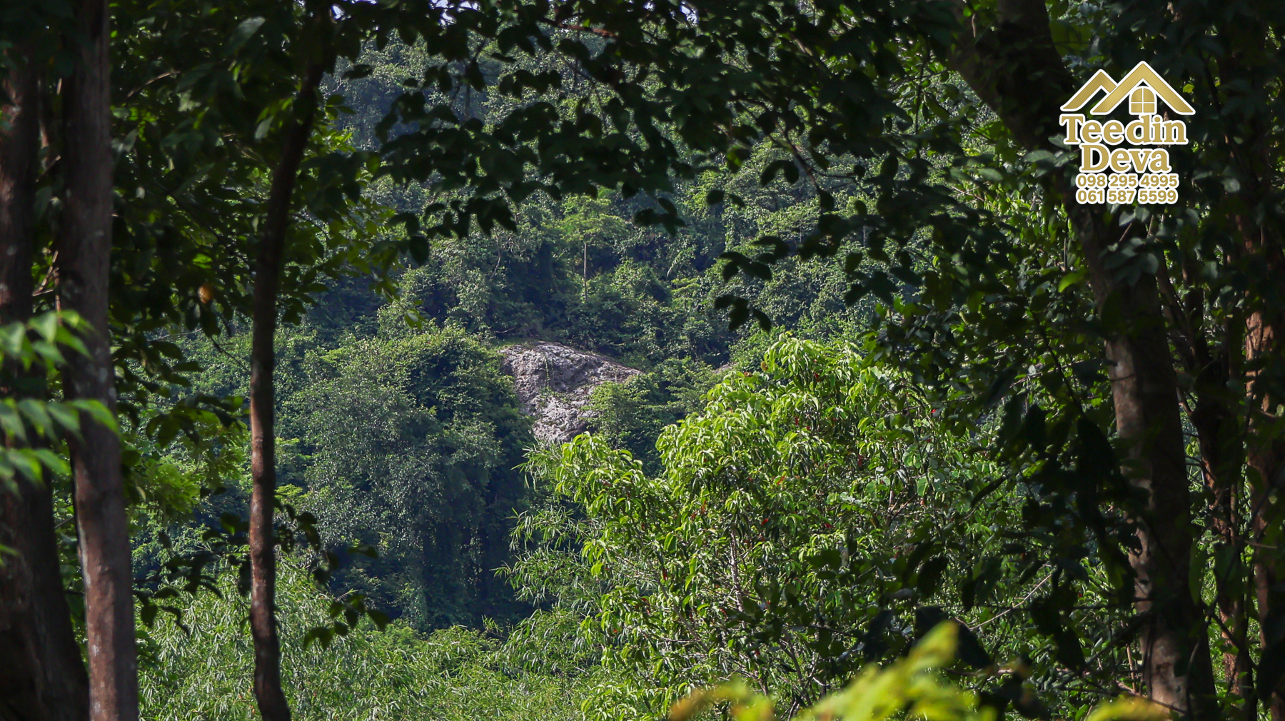 🏞️ “ผืนธรรมชาติกลางหุบเขา” 12 ไร่ 2 งาน 93.3 ตร.วา – ต.สาริกา อ.เมือง จ.นครนายก 🌳