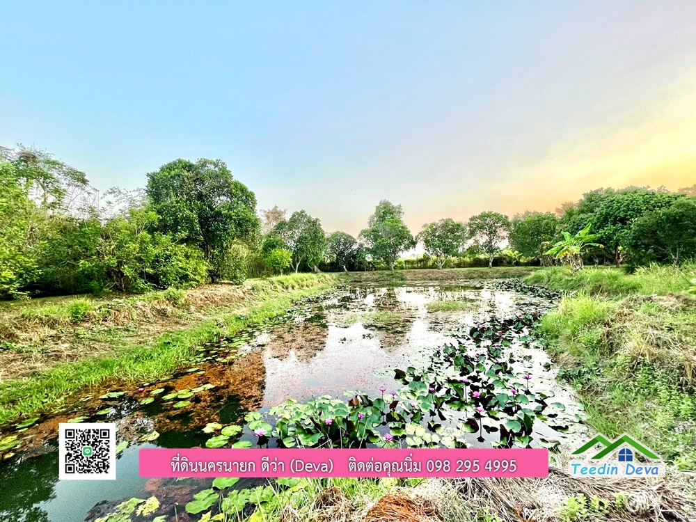 ขายบ้านสวน เนื้อที่ 6 ไร่ ต.ดงละคร อ.เมือง จ.นครนายก เอกสารสิทธิ: โฉนดครุฑแดง พร้อมโอน