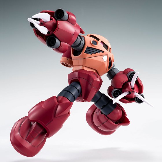 (HG) 1/144 Amazing Z'Gok (Premium Bandai)