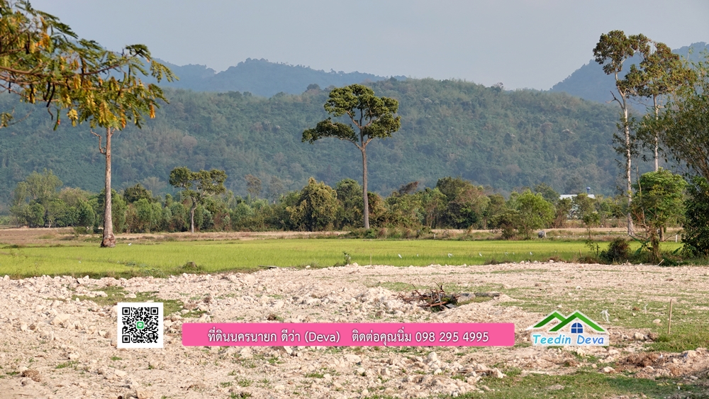 ที่ดินนครนายก วิวทุ่งนาต้นยางสวยๆ ขนาด 4 ไร่ ราคาไร่ละ 1.5 ล้าน ต.เขาเพิ่ม อ.บ้านนา จ.นครนายก