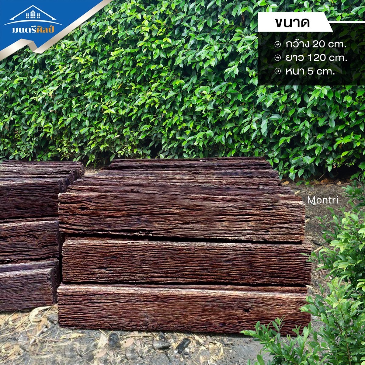 แผ่นปูทางเดินลายไม้ ขนาด 20x120x5 ซม. หนึ่งเซตมี 10 แผ่น