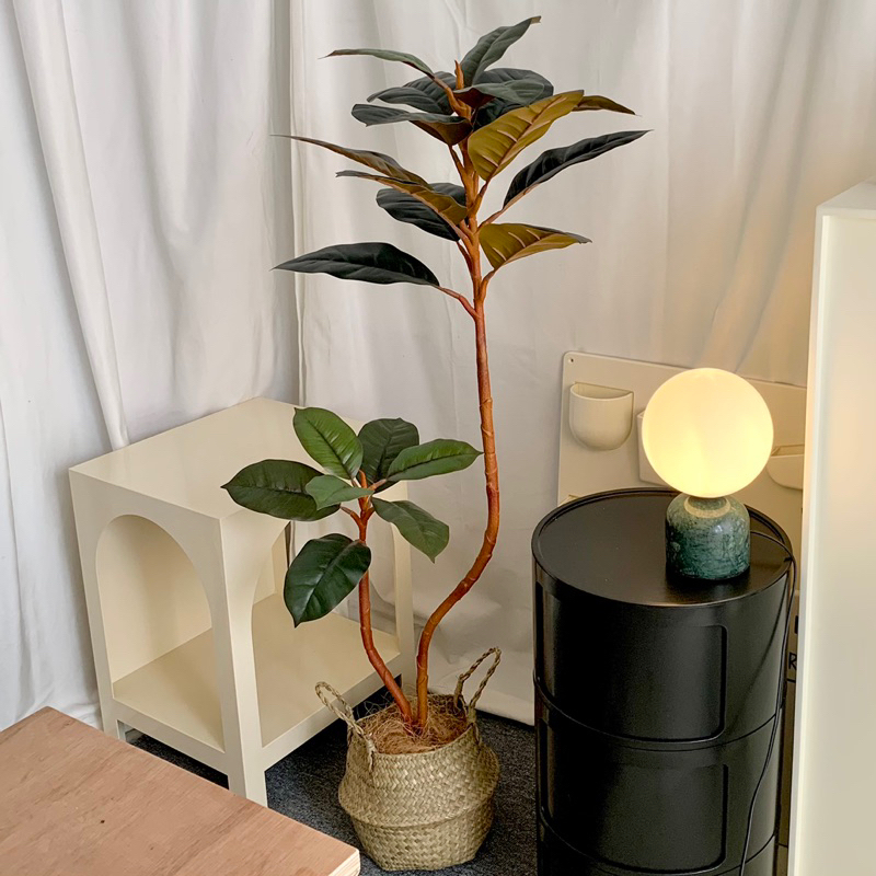 [พร้อมส่ง] Jnihouse : ต้นยางอินเดียประดิษฐ์ (Rubber Plant)(Tree)
