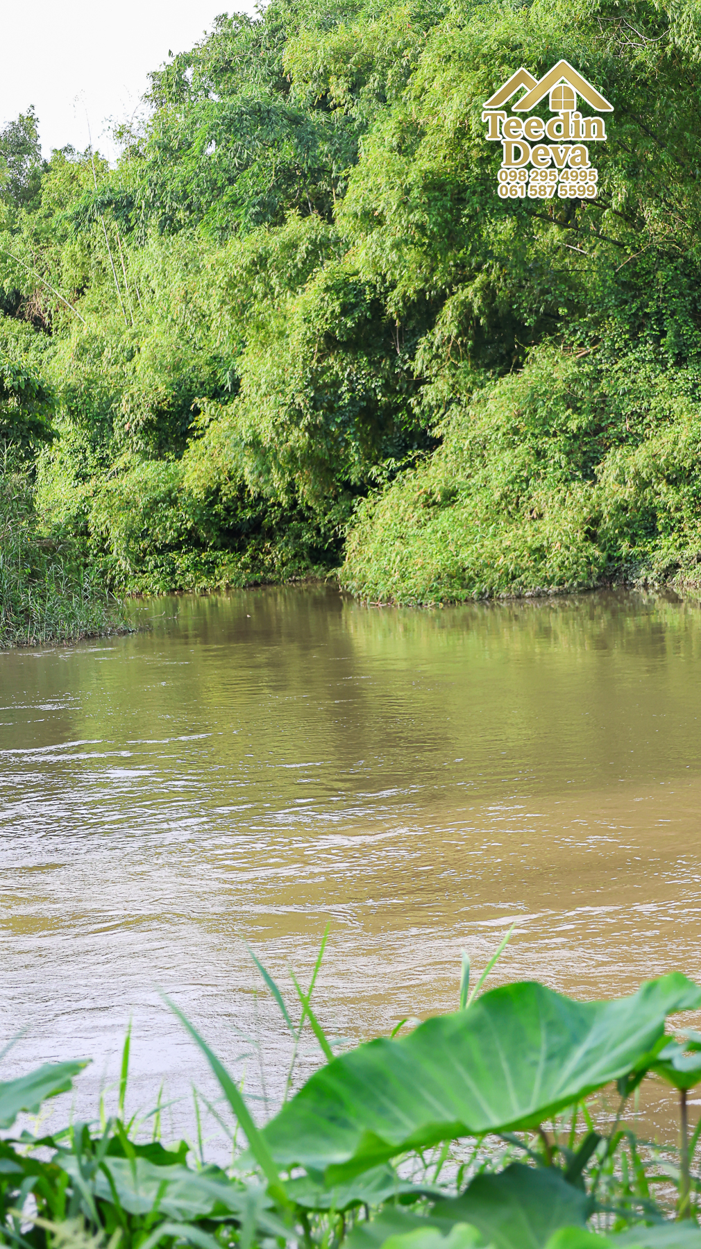 ที่ดินนครนายก ติดแม่น้ำ เนื้อที่ 4 ไร่ 2 งาน 64 ตรว. ต.สาริกา อ.เมือง จ.นครนายก