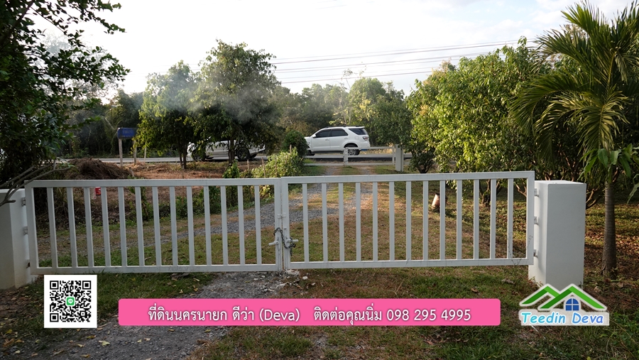 บ้านสวนผลไม้ สามารถเก็บผลผลิตได้เลย พื้นที่ 2 ไร่ 1 งาน อ.ปากพลี จ.นครนายก