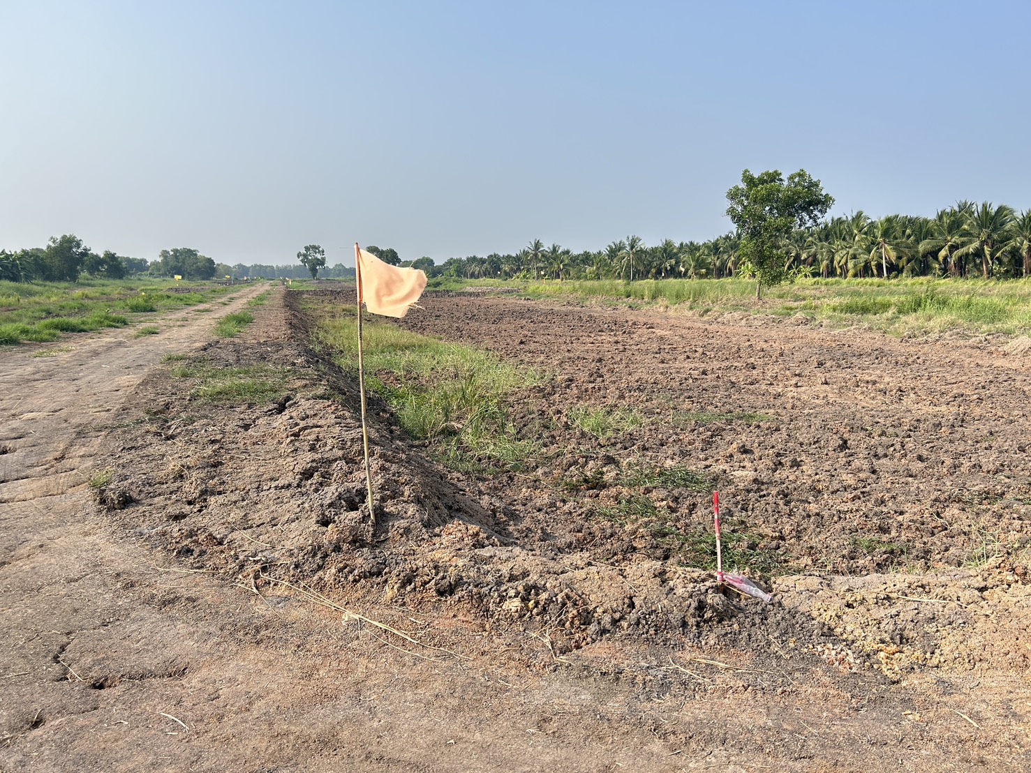 📢 ที่ดินแบ่งขายทำเลดี คลอง 11 หนองเสือ ปทุมธานี (รพีพัฒน์ เฟส 3) 🎗️