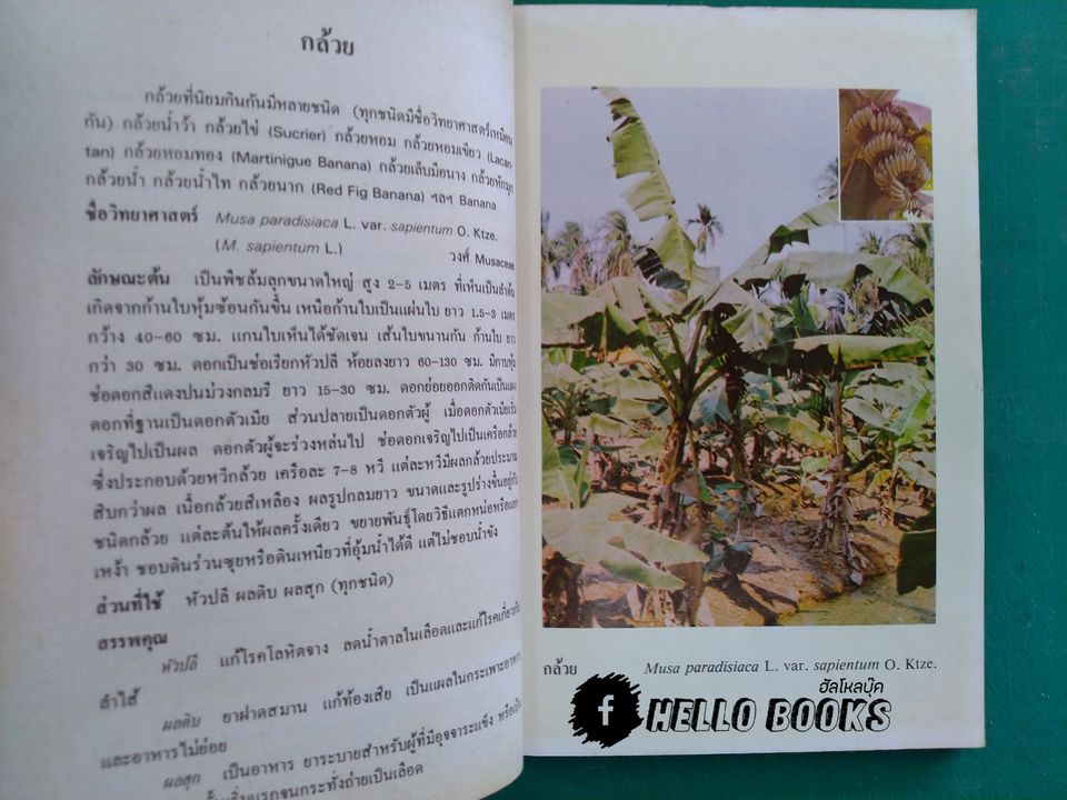 การใช้สมุนไพร เล่ม ๑, ๒