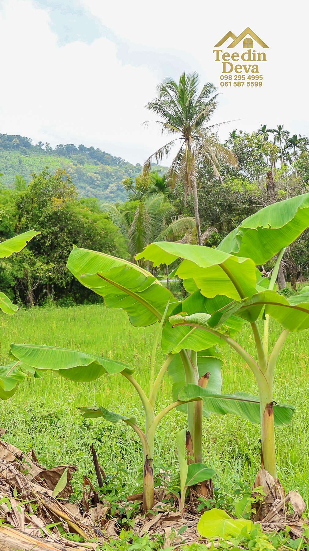 🏡 บ้านพร้อมที่ดินวิวภูเขา 1 ไร่ 3 งาน 45 ตรว. – ต.เขาพระ อ.เมือง จ.นครนายก 🌿