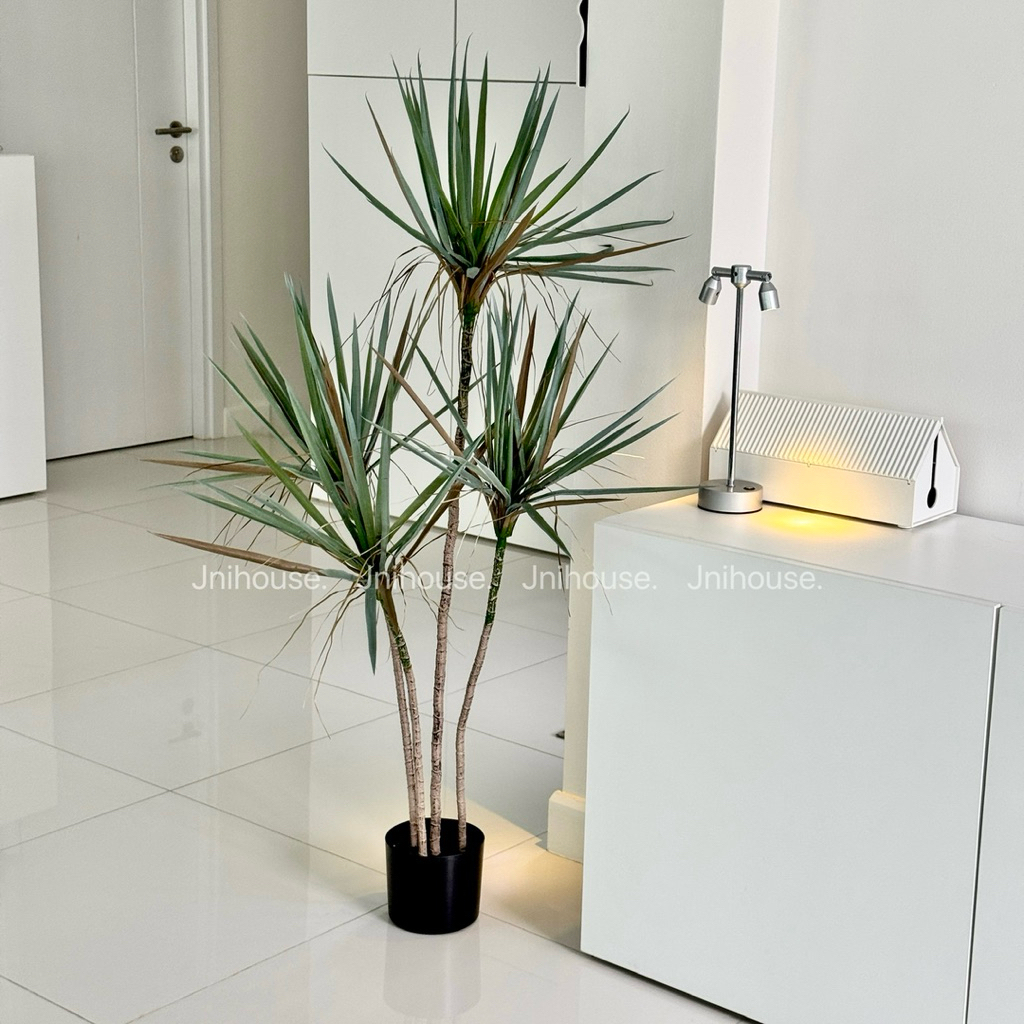 [พร้อมส่ง] Jnihouse : Dragon Tree ต้นไม้ประดิษฐ์ ขนาดสูง 130 cm (Tree)