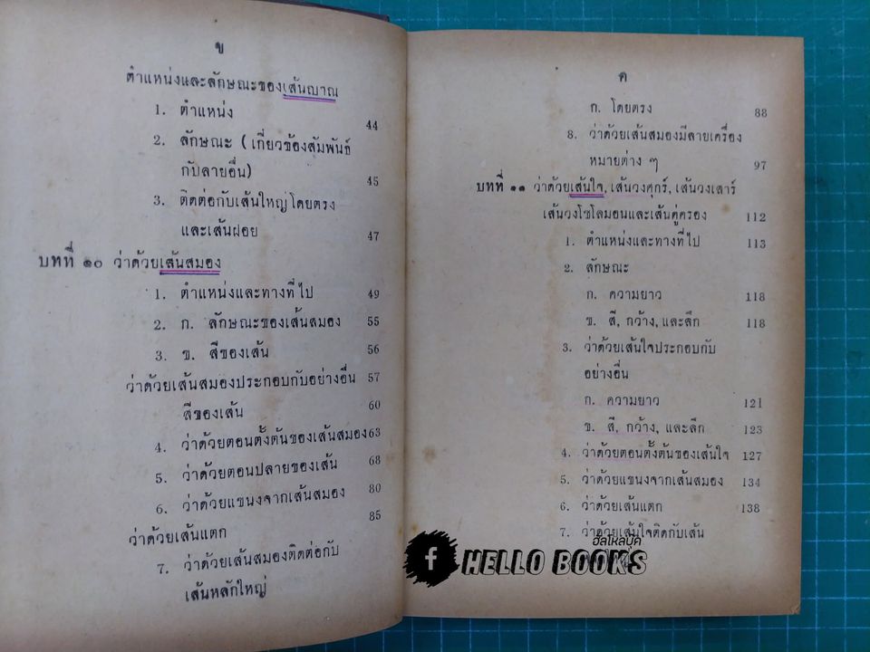 ลายมือบอกชะตา (เล่ม ๒)