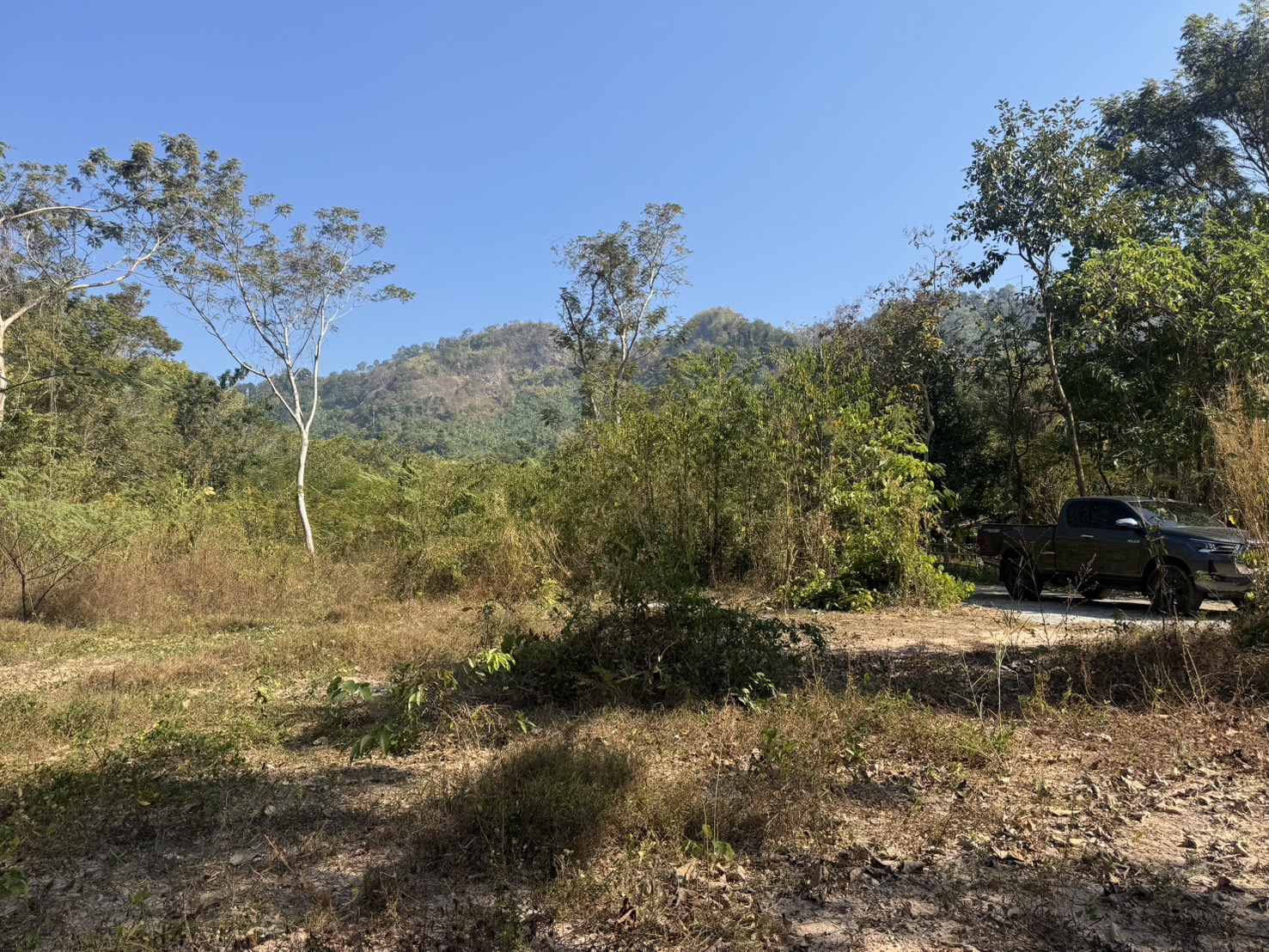 (🔴 ปิดการขาย) ที่ดินนครนายก วิวภูเขา แปลงเล็ก 62 ตร.ว. ต.เขาพระ อ.เมือง จ.นครนายก