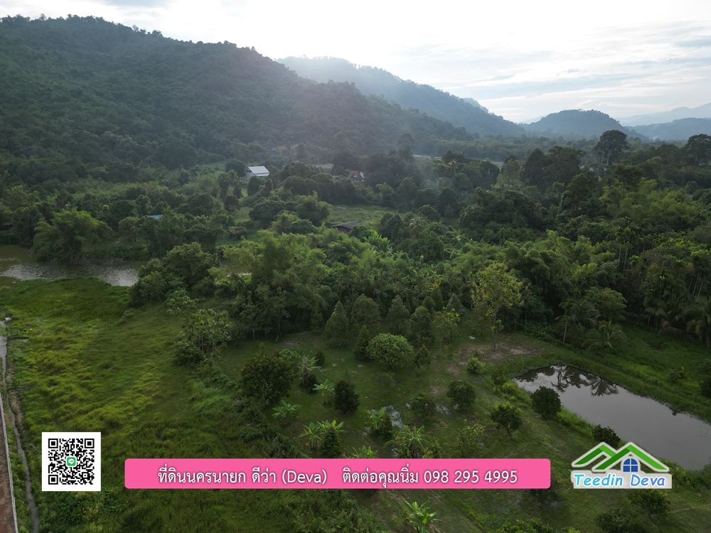 ที่ดินนครนายก วิวภูเขา ใกล้ ภุตะลึง คาเฟ่ เนื้อที่ 5 ไร่ 2 งาน ทำเลดี ทำธุรกิจได้