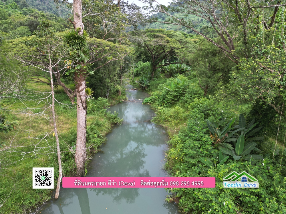 ที่ดินนครนายก ติดลำธารสวยๆ ที่ดินแปลงสวย 6 ไร่ ทำเลดี ในอ้อมกอดของขุนเขา ด้านหลังติดลำธารธรรมชาติ