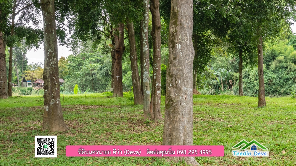 ที่ดินนครนายก ติดแม่น้ำ 14 ไร่ พื้นที่ติดแม่น้ำ 400 เมตร ชมลำธารสวยๆ บรรยากาศสบายๆ ต.สาริกา อ.เมือง จ.นครนายก