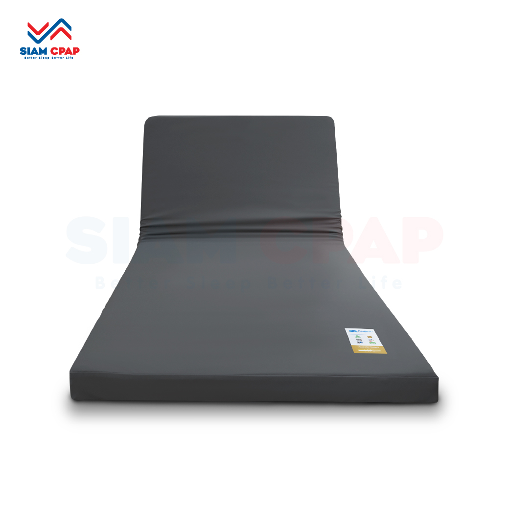 ที่นอนยางพารา กระจายแรงกดทับ นุ่มสบาย ทนทาน Realpad TOP New ปลอกหุ้มหนัง PU รับประกัน 5 ปี