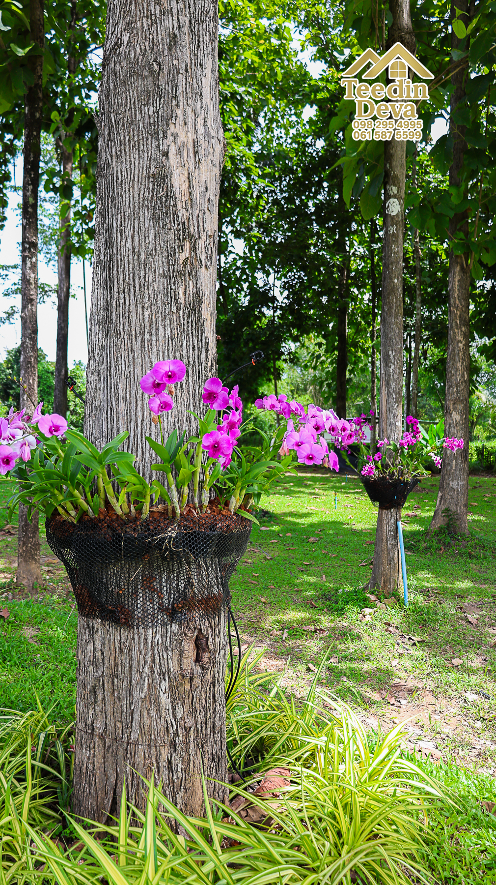 ðŋ āļāđāļēāļāļŠāļ§āļāđāļāļāļąāļ āļĢāļīāļĄāļĨāļģāļāļēāļĢ āļ§āļīāļ§āļ āļđāđāļāļēāļŠāļ§āļĒ â 821 āļāļĢ.āļ§. āļ.āļŠāļēāļĢāļīāļāļē āļ.āđāļĄāļ·āļāļ āļ.āļāļāļĢāļāļēāļĒāļ ðŋ