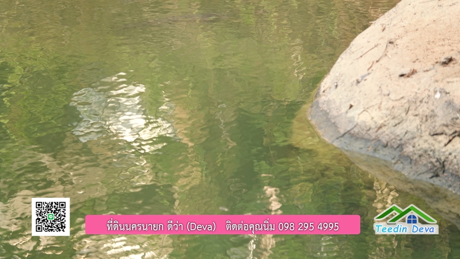 บ้านสวนผลไม้ สามารถเก็บผลผลิตได้เลย พื้นที่ 2 ไร่ 1 งาน อ.ปากพลี จ.นครนายก