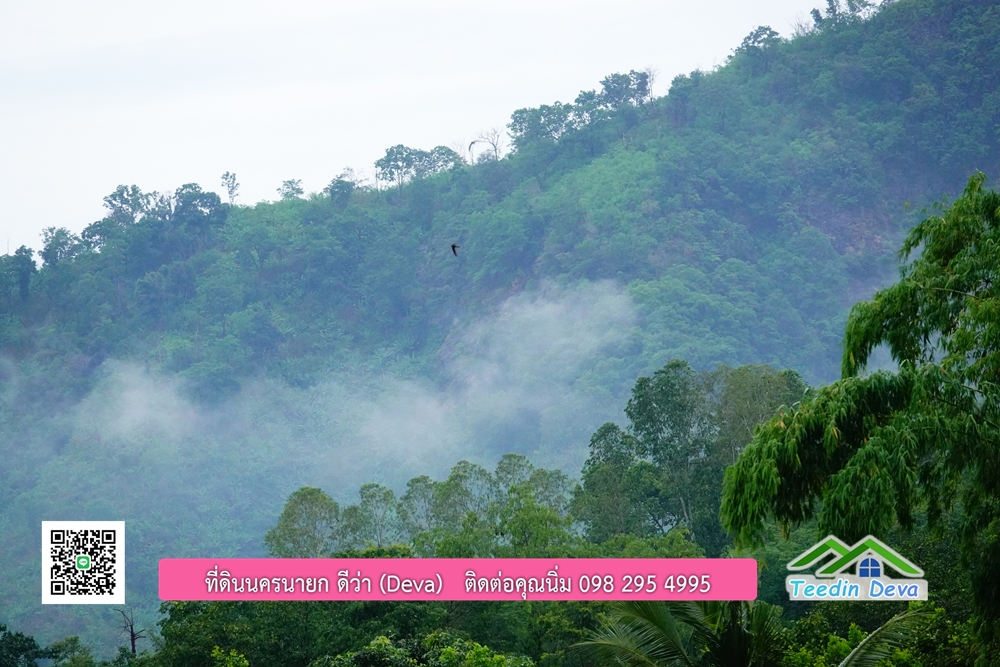 ที่ดินนครนายก วิวภูเขาสวยๆ ราคาแปลงละ 1.36 ล้านบาท สด และผ่อน