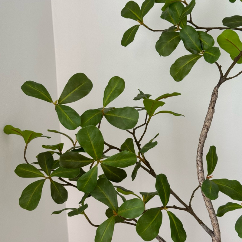 [พร้อมส่ง] Jnihouse : ต้นไม้ประดิษฐ์สูง 130 cm (Tree)