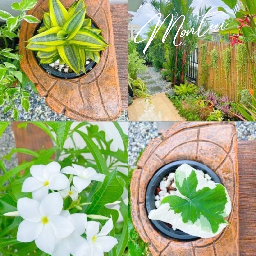 เก้าอี้สนามปูนลายไม้ 2in1 เก้าอี้กระถางต้นไม้ งาน DIY ทำจากปูนปั้นสด เสมือนไม้จริง ดูเป็นธรรมชาต ปัดสีด้วยมือสุดปราณีต