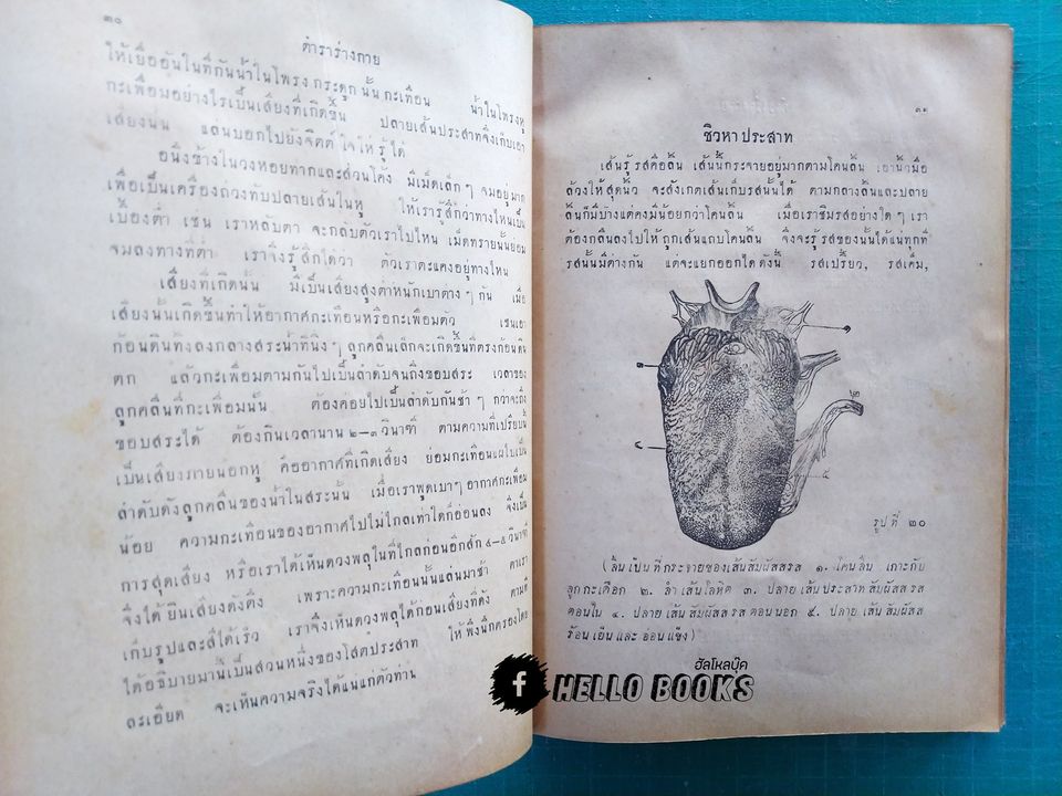 ตำราหมอประจำบ้าน