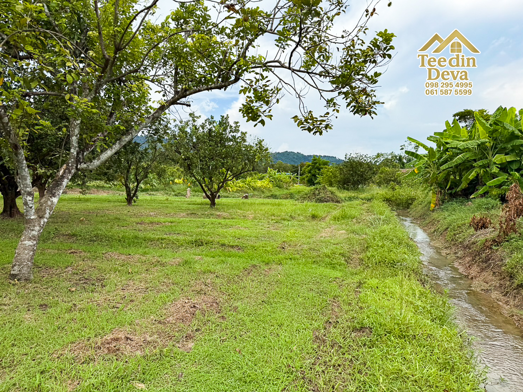 🌿 สวนผลไม้ในฝัน ใกล้เขื่อนขุนด่านปราการชล — 1 ไร่ 12 ตรว. ต.หินตั้ง อ.เมือง จ.นครนายก 🌿