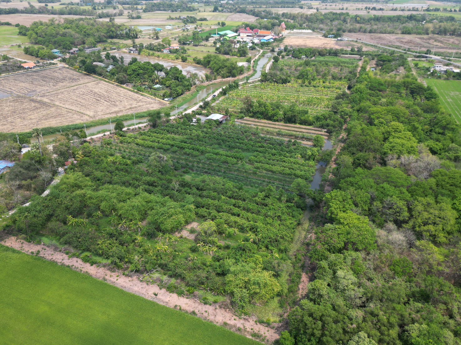 🔥 ที่ดินสวย ทำเลดี ที่ดินเชิงเกษตร ต.หนองจระเข้ อ.หนองแค จ.สระบุรี