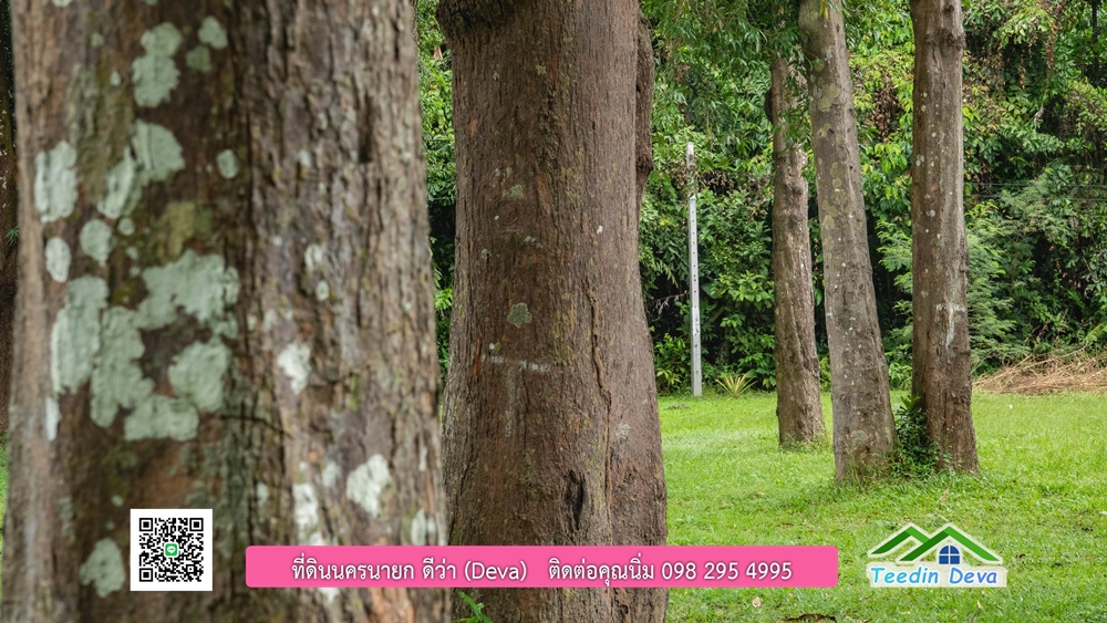 ที่ดินนครนายก ติดแม่น้ำ 14 ไร่ พื้นที่ติดแม่น้ำ 400 เมตร ชมลำธารสวยๆ บรรยากาศสบายๆ ต.สาริกา อ.เมือง จ.นครนายก