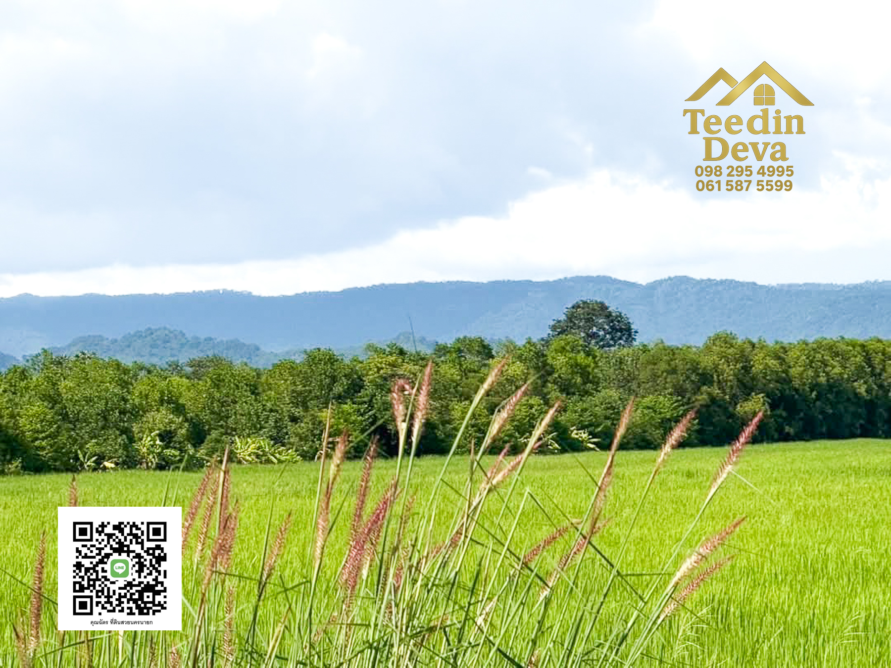 มองหาที่เงียบสงบใกล้ตัวเมืองอยู่ไหมคะ 🌾 ที่ดิน 5 ไร่ ต.วังกระโจม วิวเขา ลมเย็น สดชื่นทุกเช้า ☁️