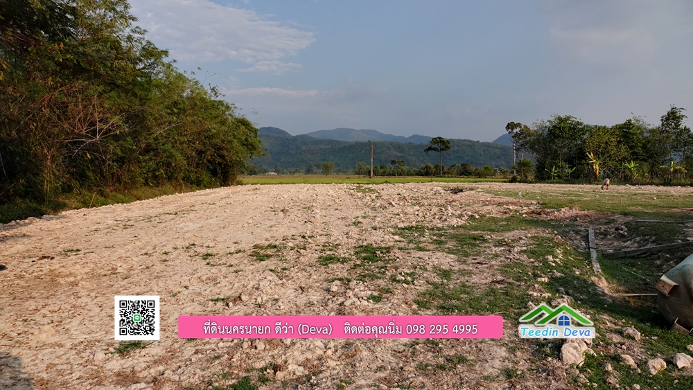 ที่ดินนครนายก วิวทุ่งนาต้นยางสวยๆ ขนาด 4 ไร่ ราคาไร่ละ 1.5 ล้าน ต.เขาเพิ่ม อ.บ้านนา จ.นครนายก