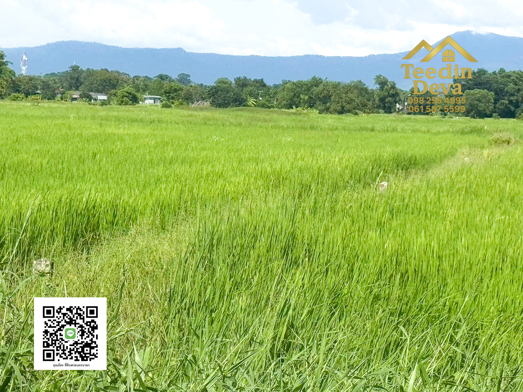 มองหาที่เงียบสงบใกล้ตัวเมืองอยู่ไหมคะ 🌾 ที่ดิน 5 ไร่ ต.วังกระโจม วิวเขา ลมเย็น สดชื่นทุกเช้า ☁️