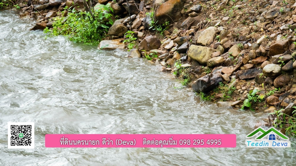 ที่ดินนครนายก สวนผลไม้ขนาดเล็ก 155 ตร.ว. ด้านหลังติดลำธาร