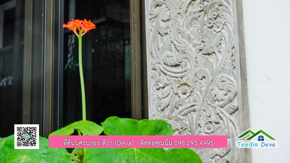 บ้านไทยประยุกต์ พร้อมสวนผลไม้ พืชผักสวนครัว ใกล้กับตัวเมืองนครนายก