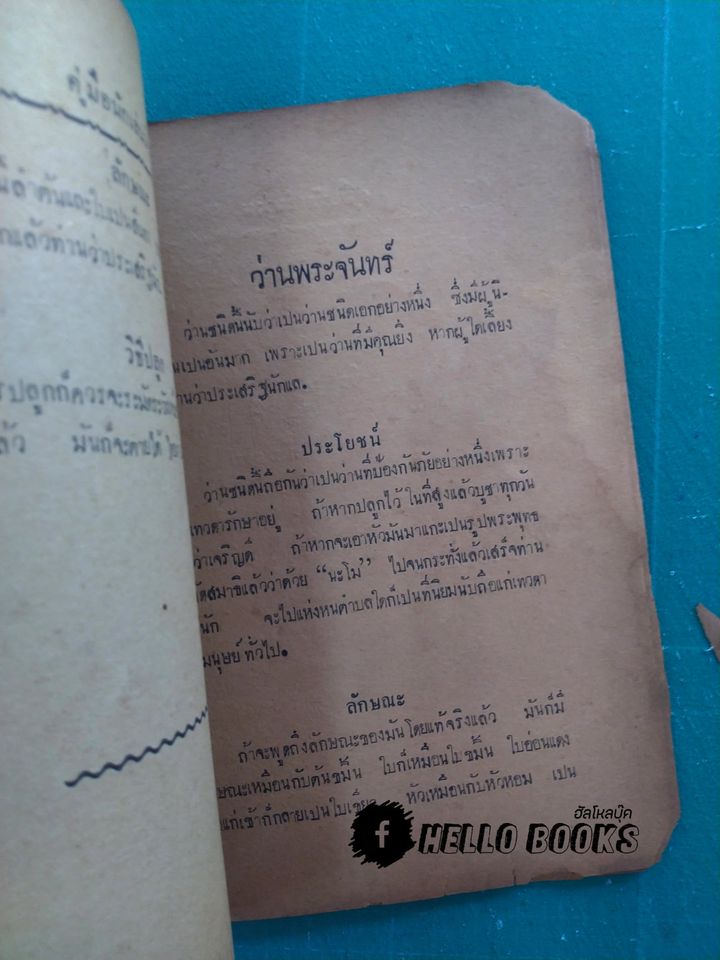 คู่มือ นักเลงว่าน (พ.ศ. ๒๔๘๐)