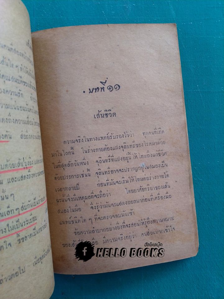 เส้นลิขิตบนฝ่ามือ