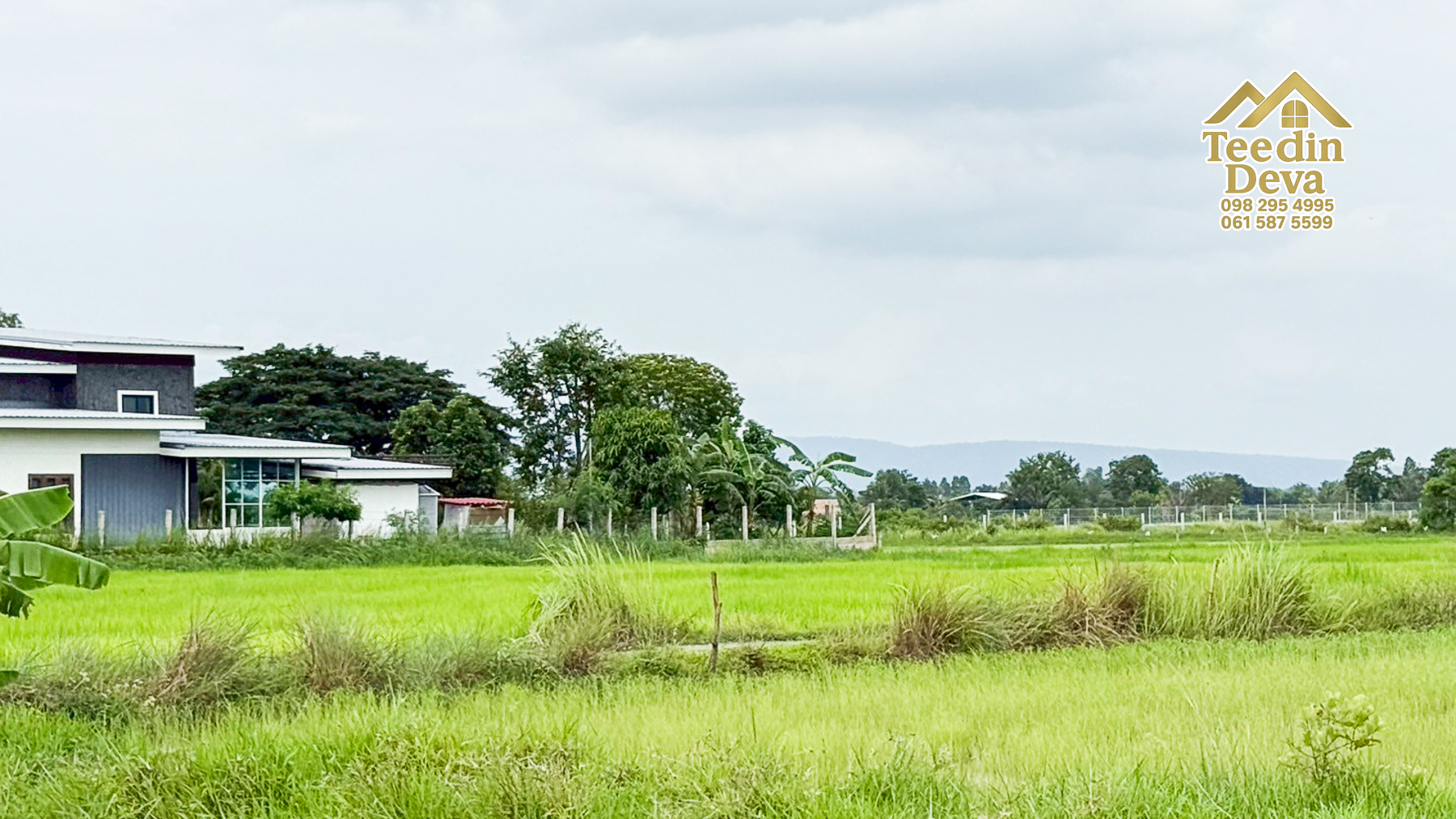 ที่ดินนครนายก ราคาถูก 100 ตรว พร้อมขุดโคกหนองนาให้ฟรี ต.ศรีนาวา อ.เมือง จ.นครนายก